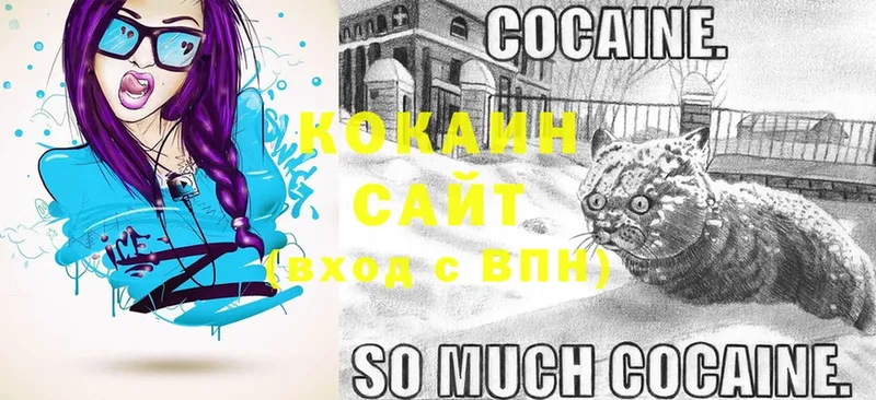 COCAIN FishScale  что такое   Грязи 